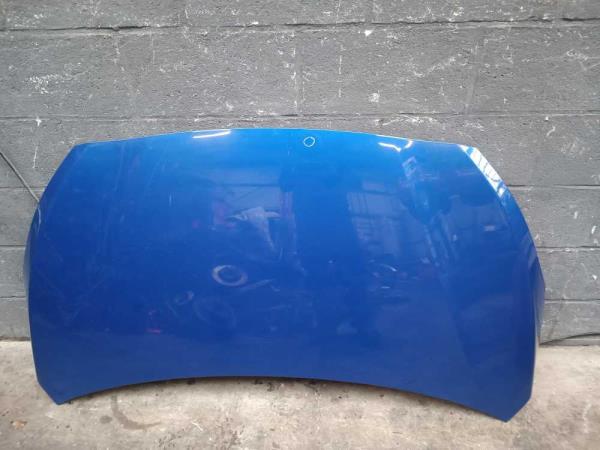 CAPOT HYUNDAI - Vue 1